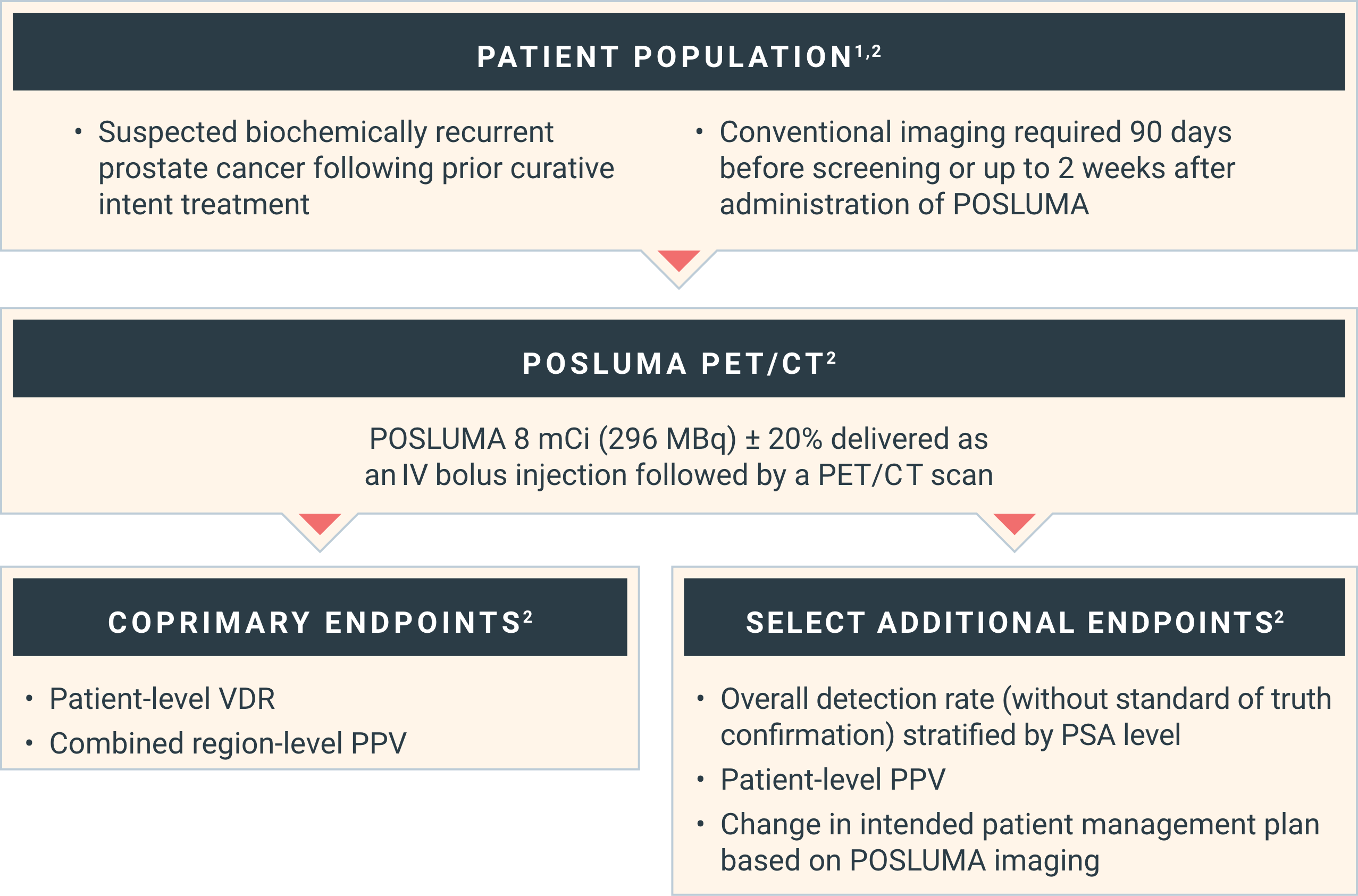 Chart describing the patient population for the LIGHTHOUSE study, as well as explaining the POSLUMA PET/CT scans and listing the coprimary endpoints and select additional endpoints
