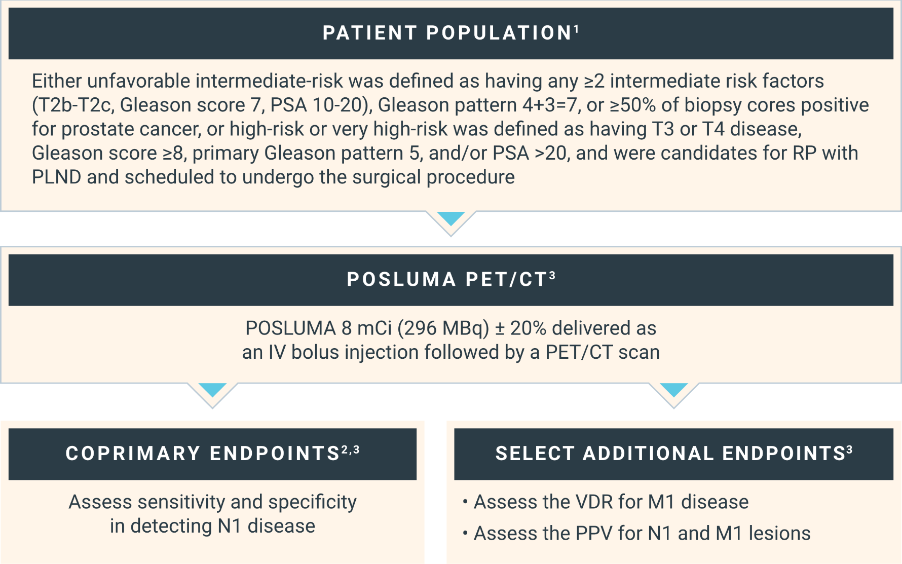 Chart describing the patient population for the SPOTLIGHT study, as well as explaining the POSLUMA PET/CT scans and listing the coprimary endpoints and select additional endpoints